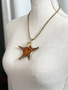 BVSP23-STAR